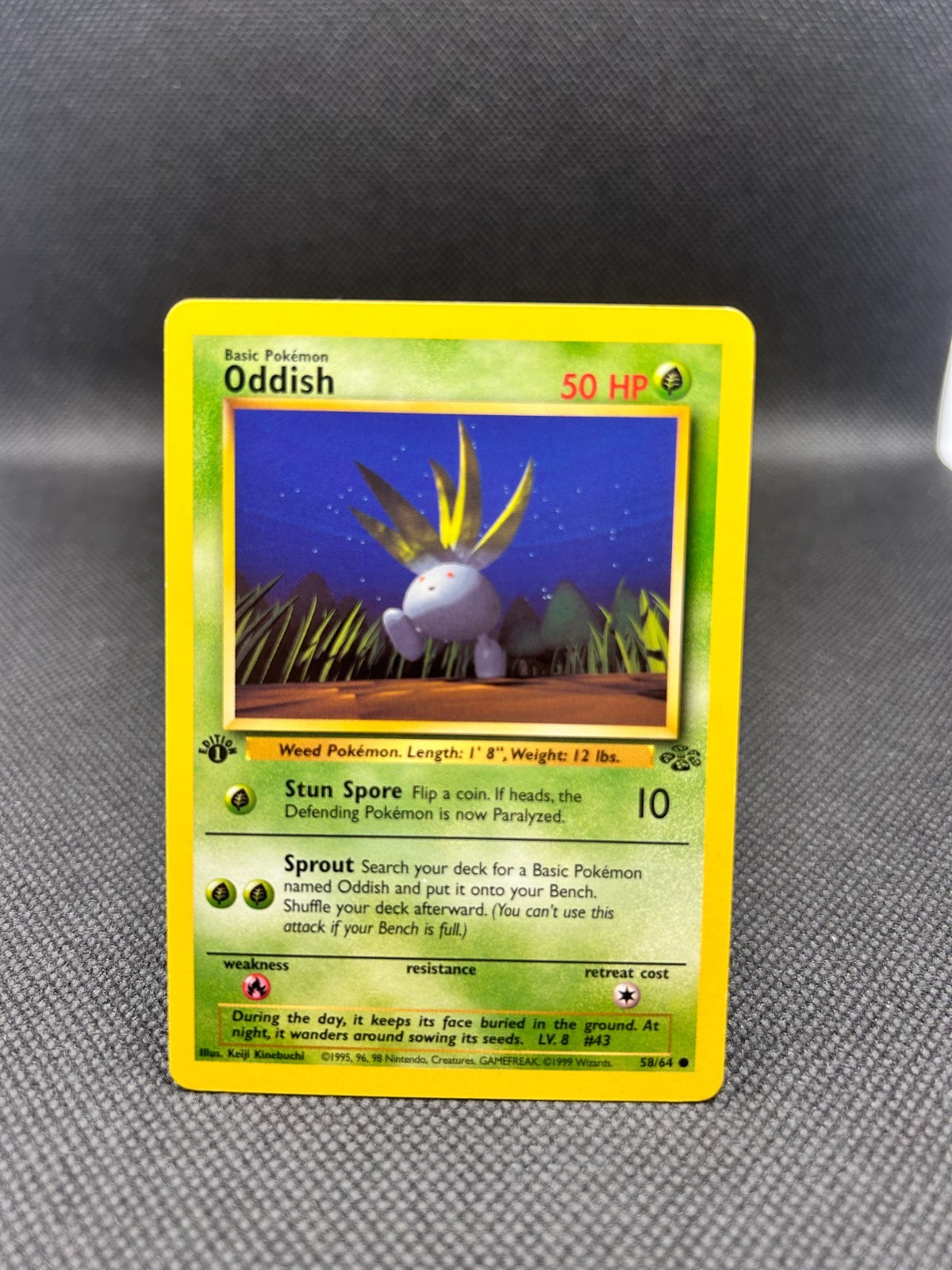 Pokémon TCG Oddish WOTC 1st Edition Jungle 58/64 NM