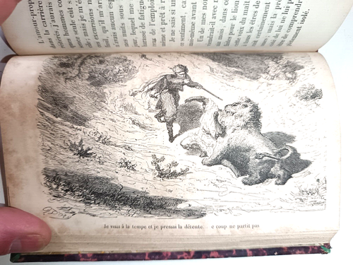 JULES GERARD LA CHASSE AU LION 1855 ILLUSTRE GUSTAVE DORE RELIE IN16 - Foto 4 di 7