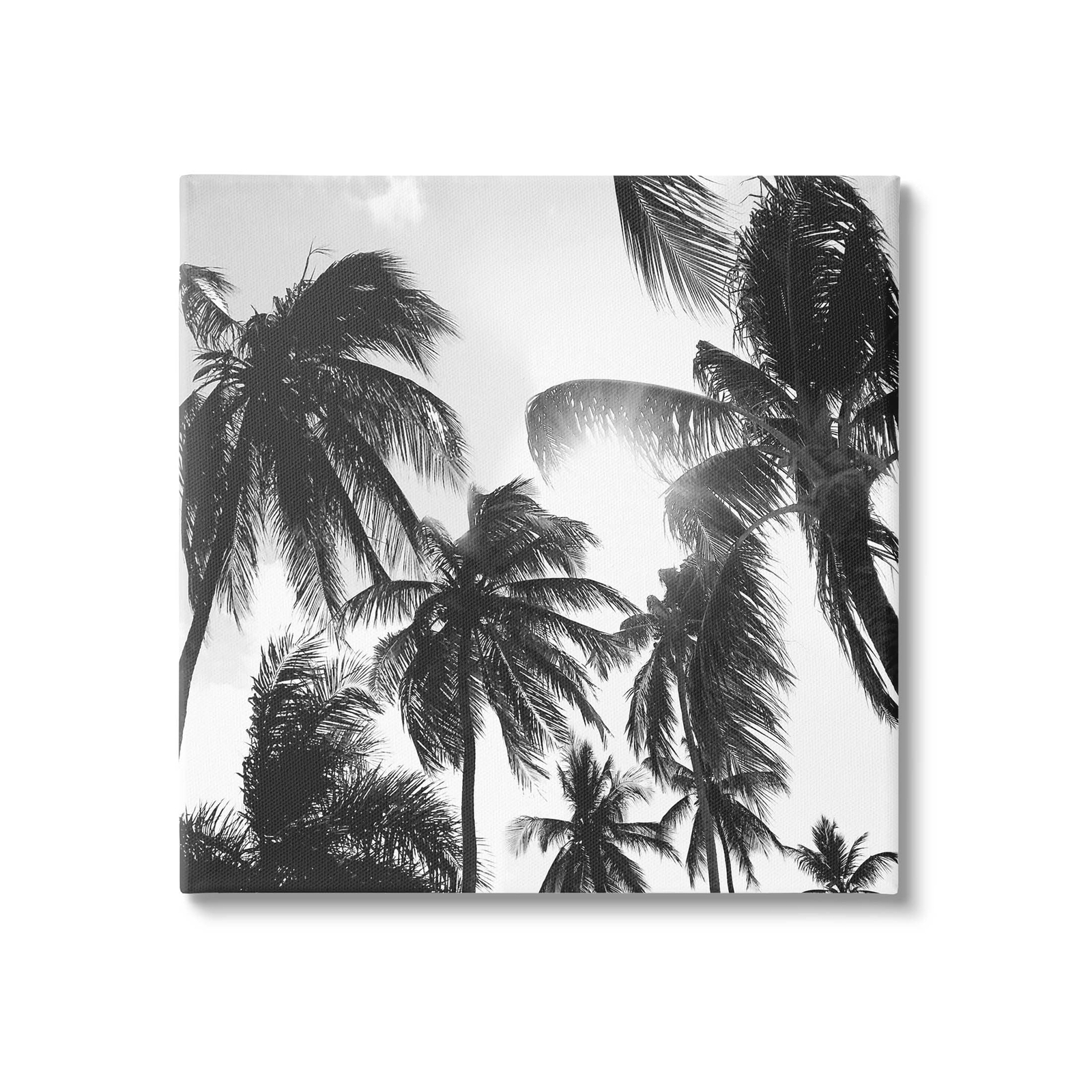 Sunlit Palm Tree Photography Canvas Wall Art, Design by Natalie Carpentieri