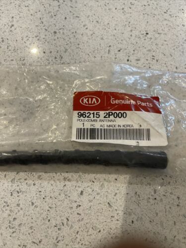Citroen ZX Radio Aerial Cable 656132 NEW GENUINE | eBay UK