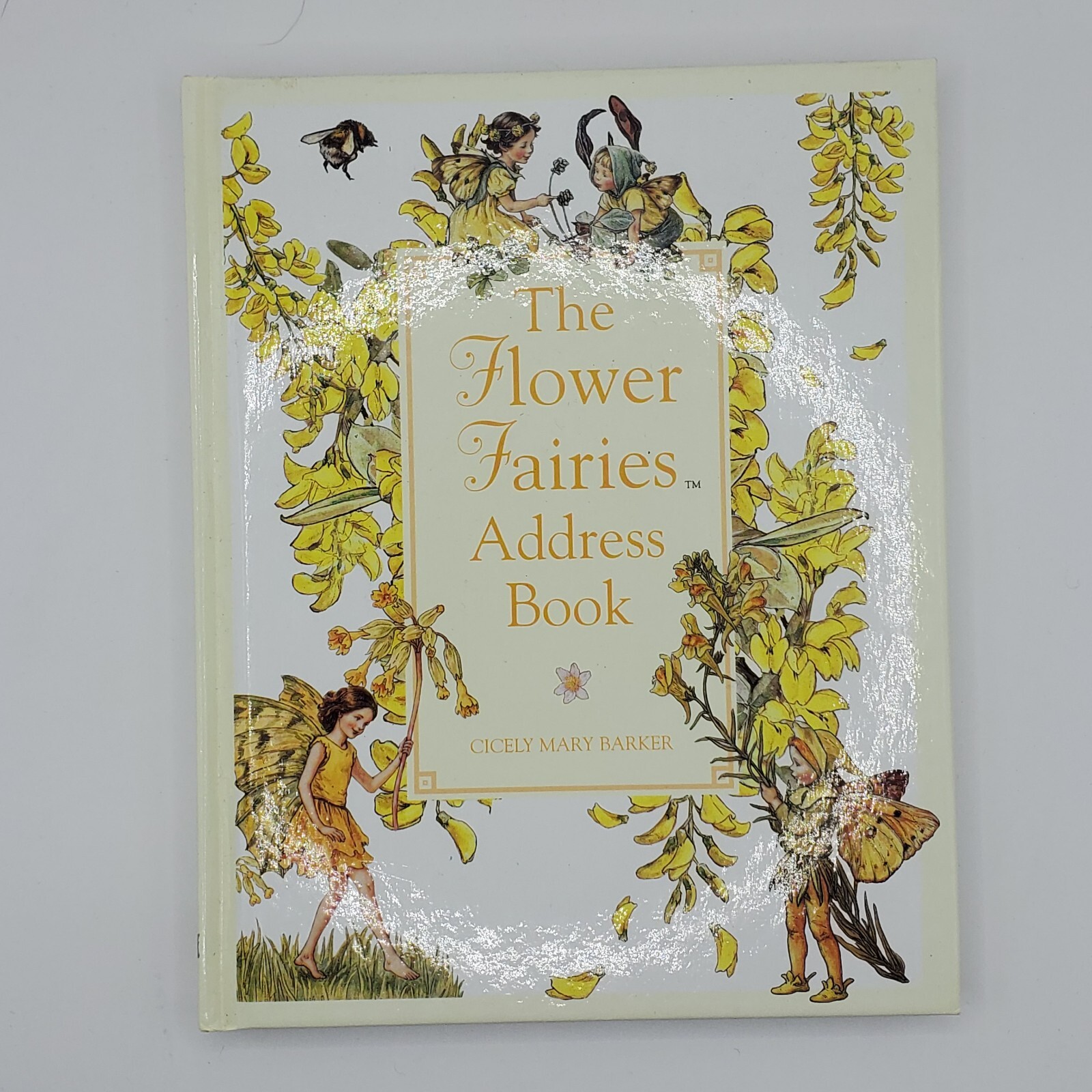 The Flower Fairies Address Book Cicely Mary Barker