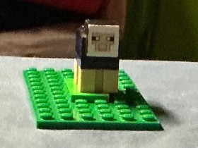 LEGO Minecraft Black Sheep 21137