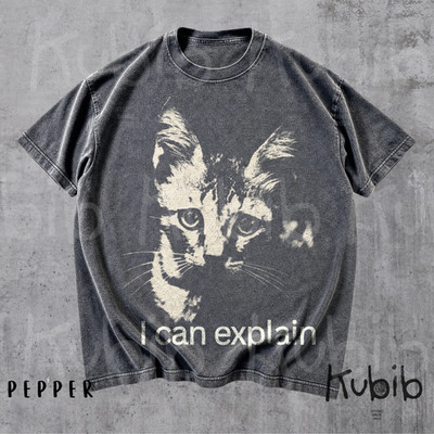 I Can Explain Cat Shirt Sad Cat Meme Tee Vintage 90s Grunge Kitty Graphic TShirt