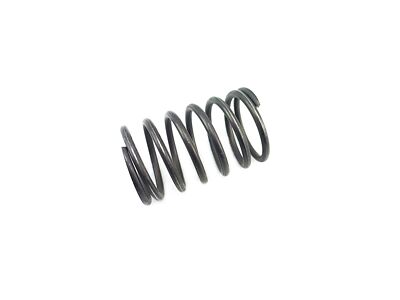 Valve Spring BMW R35 Outer