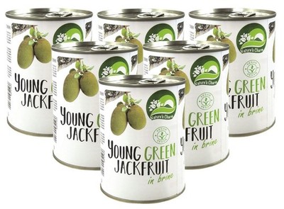 6er Pack- Junge Jackfrucht in Stücke, salzig eingelegt (6x 565g) Jackfruit VEGAN