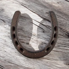 Classic Cast Iron Horseshoe, Lucky Rustic Wall Decor Accent