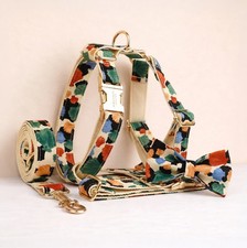 Personalized Dog Collar Leash Harness Painted Petals Floral Set