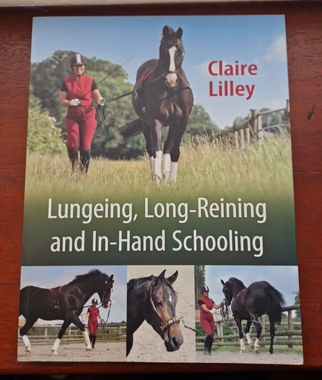 Lungeing, Long-Reining and In-Hand Schooling by Claire Lilley horse horses pony