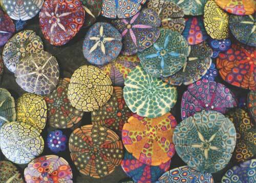 Colorful Sand Dollars Deluxe Matte Blank Note Card - Greeting Card by Avanti