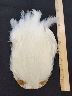 Lot 3,  Top Quality Dyed WHITE India Rooster Streamer Neck Cape Feathers