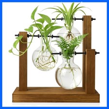Stylish Plant Propagation Station with 3 Glass Vases for Home  Office Decor
