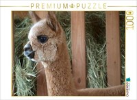 Calvendo Puzzle Alpaka Im Heu | 1000 Teile Lege-GrößE 64 × 48 Cm Foto-Puzzle FüR