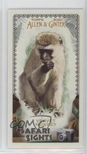 2020 Topps Allen & Ginter's Safari Sights Minis Vervet Monkey #SS-9 0f3j