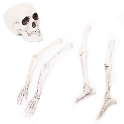 HALLOWEEN PROP MENSCHLICHE KNOCHEN RESTE SCHÄDEL BEWEGLICHE BEINE UND ARME DEKORATION