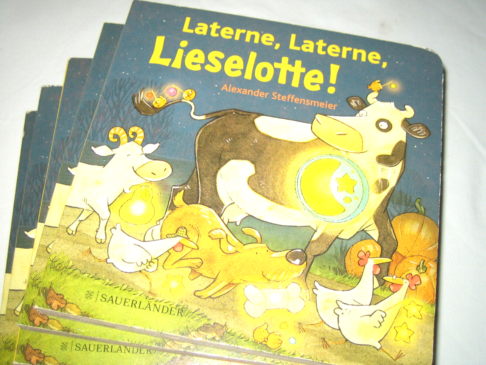 Fischer Sauerländer Laterne Laterne Lieselotte! - Bild 3