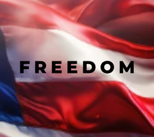 FREEDOM Vinyl Decal Bumper Sticker Car Truck Window Mirror Patriotic Art USA