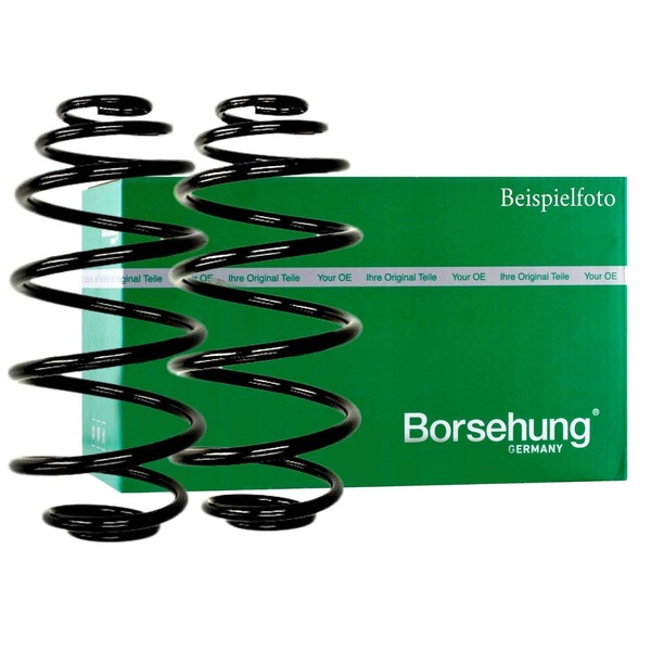 2X Borsehung Fahrwerksfeder Vorne FüR Seat Toledo IV Skoda Rapid 1.6D-image