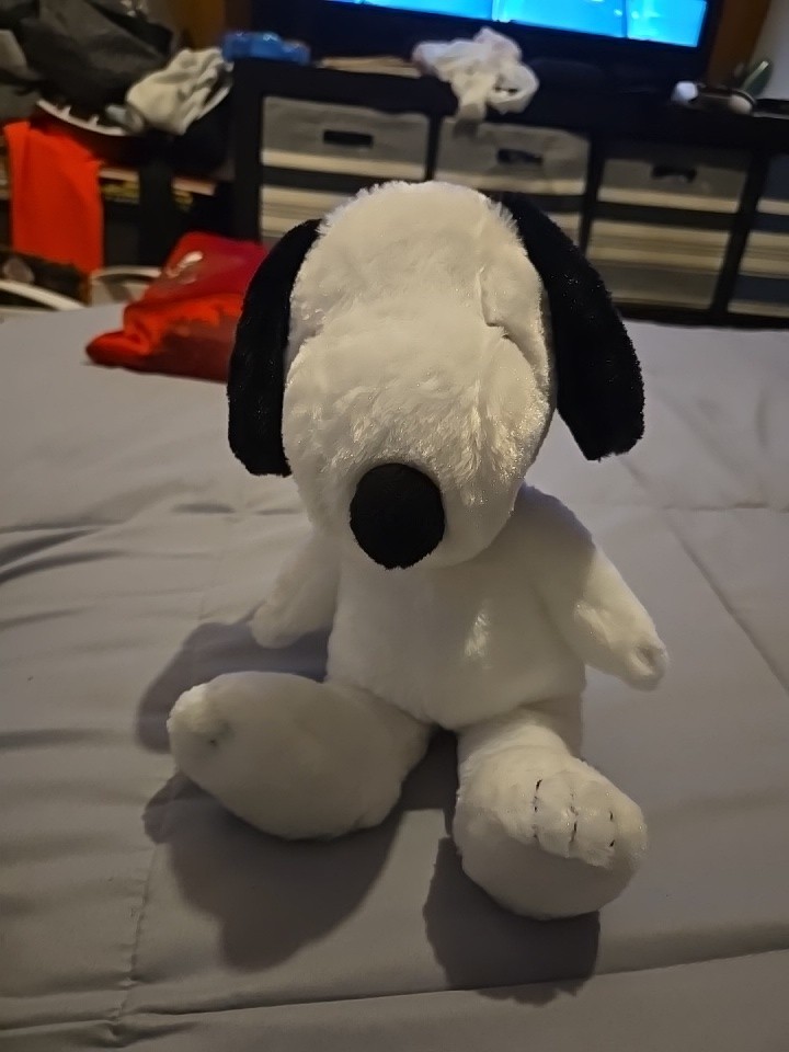 Snoopy Kohls Cares Peanuts Charlie Brown 12”  Stuffed Animal Plush Dog