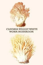 Clavaria Wiggly White Worm Mushroom Edmund Michael Poster Print