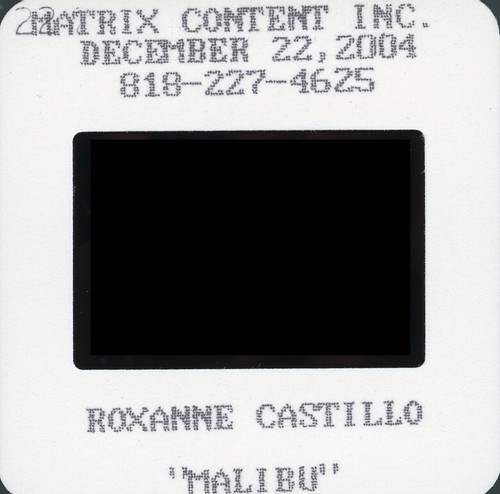 T721 Original 35mm Slide Fine Art Nude Model Posing Risque Beauty 70s ...