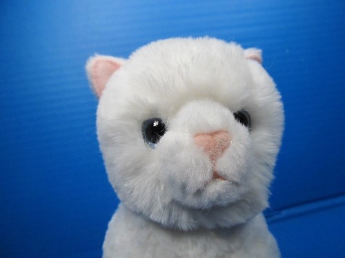 Douglas Cuddle Toys Winnie White Plush Kitty Cat Soft 8" Stuffed Animal Toy - Picture 2 of 11