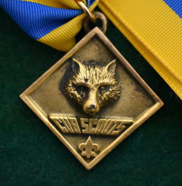 BOY SCOUT CUB SCOUT LEADER S AWARD EBay