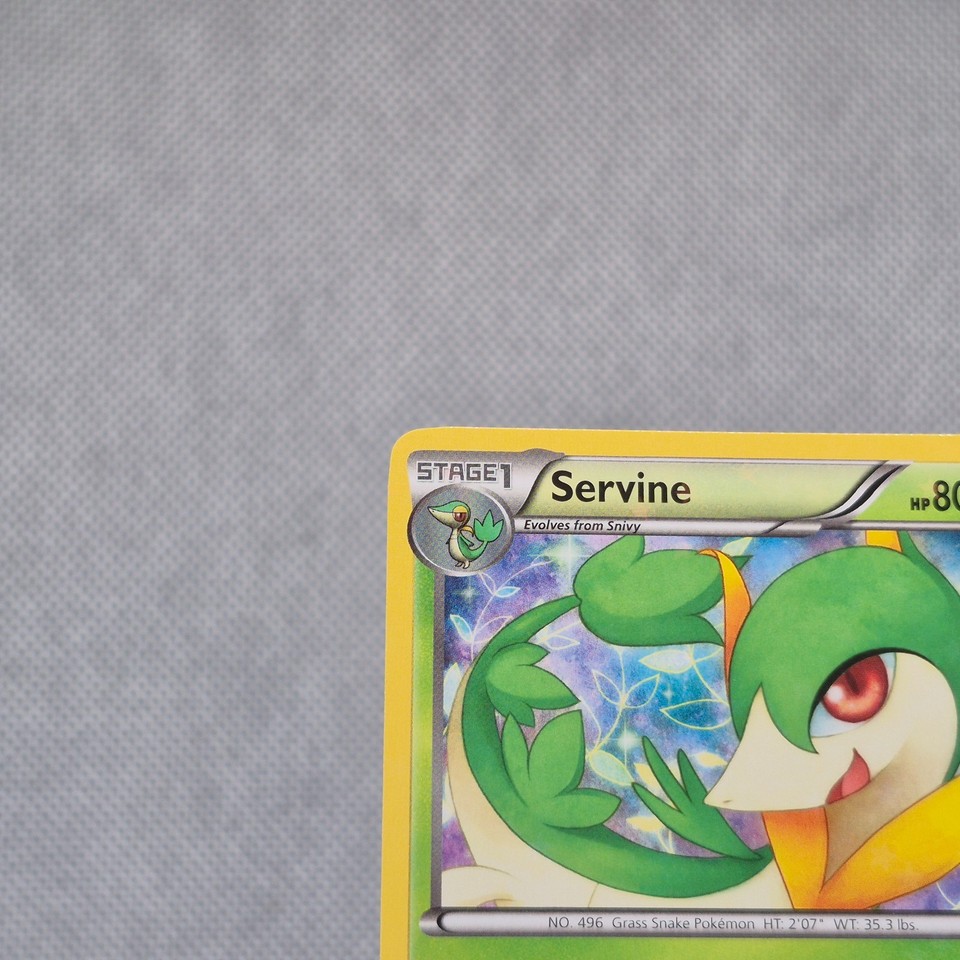 Rc2 Server Servine RC2/RC25 Legendary Treasures Holo Pokemon Card TCG | eBay
