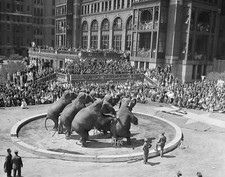 Circus, Clown, Carnivals, Posters, vintage photo reproduction High quality 153
