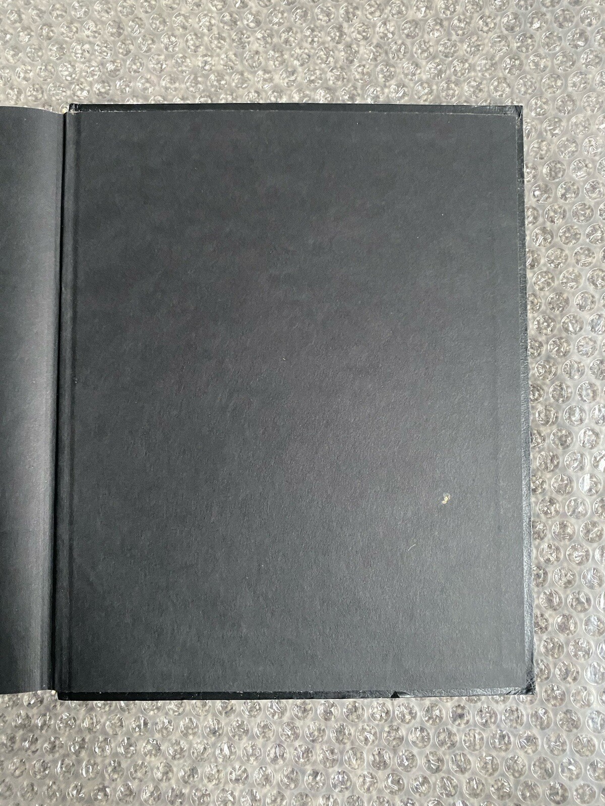 Picture 17 of 19