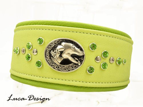 Windhundhalsband Hundehalsband Greyhound collar Galgo Barsoi Whippet Lurcher whg - Bild 1 von 8