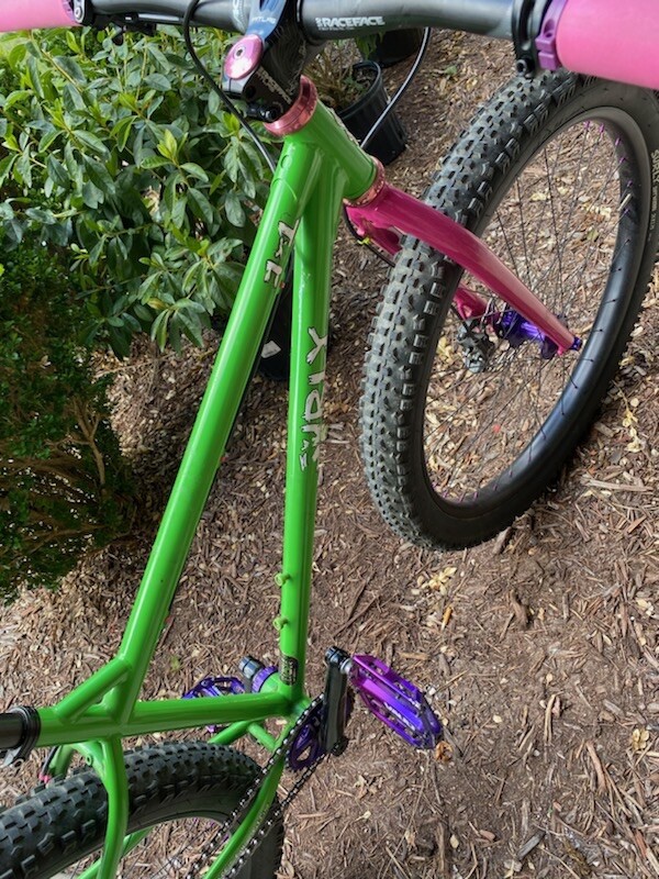 Surly 1x1 Mountain Bike | eBay