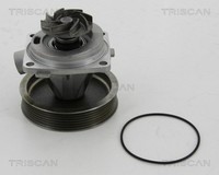 Wasserpumpe MotorküHlung Triscan 8600 10080 FüR Jumpy Scudo CitroËN Fiat Expert