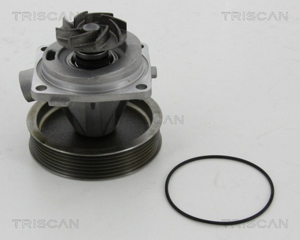 Wasserpumpe MotorküHlung Triscan 8600 10080 FüR Jumpy Scudo CitroËN Fiat Expert-image