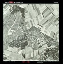 55578 von Wolfsheim | CD | Zustand sehr gut