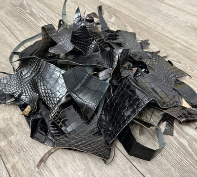 Alligator Scraps Remnants Piece Hide Leather Skin Scrap Croc taxidermy Gator 102