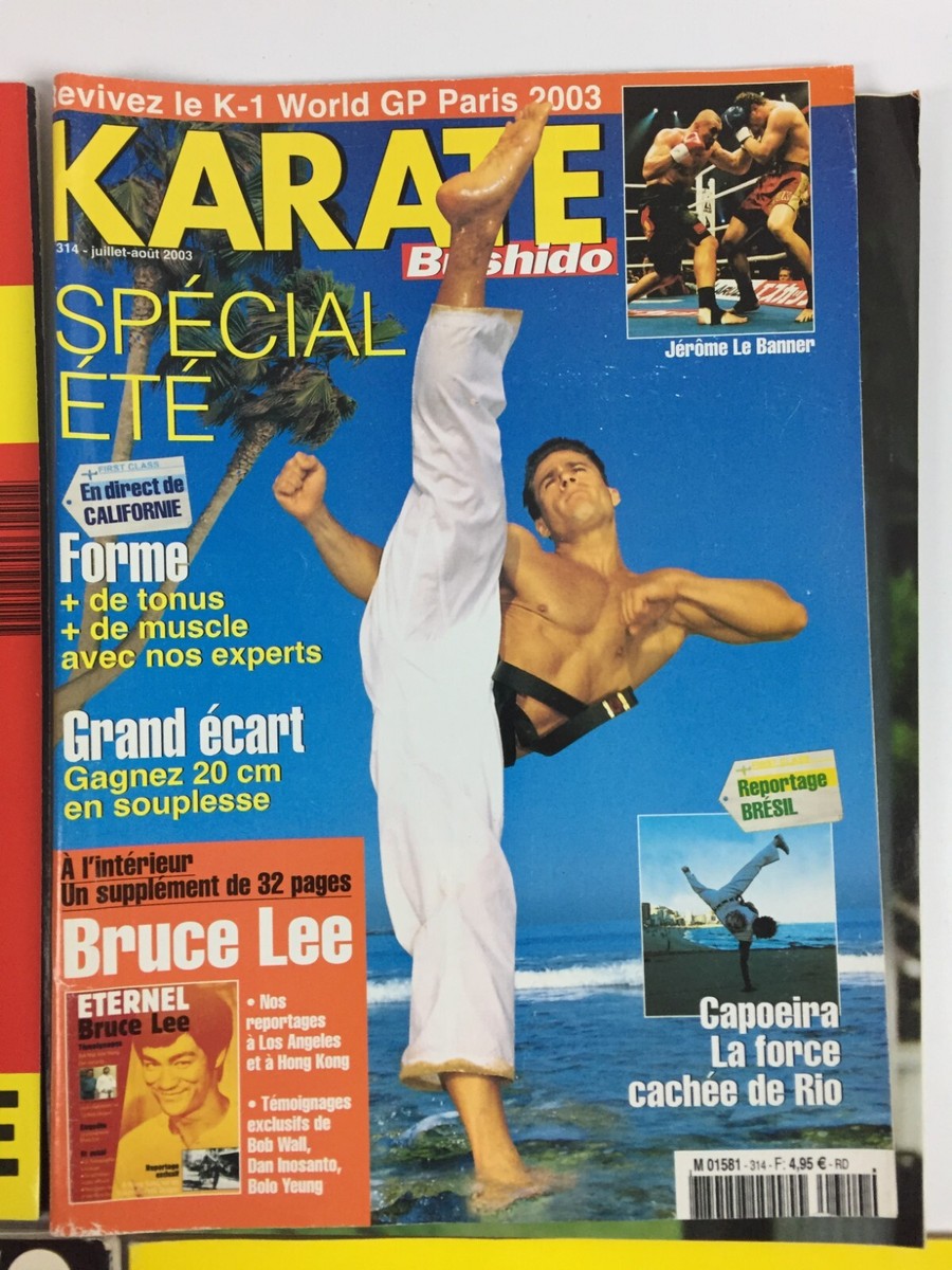 La leyenda de Bruce Lee - Ver la serie online