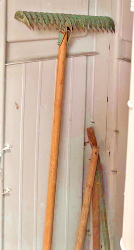 Vintage Green THATCHER THATCHING RAKE Curved Steel Tines ~56" for Grass & Lawn