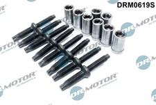 Schraube, Einspritzdüsenhalter DRM0619S Dr.Motor Automotive für PEUGEOT FORD