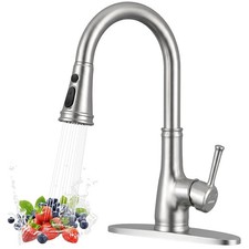 Vintage Kitchen Faucet, Brushed Nickel 3 Modes Sprayer