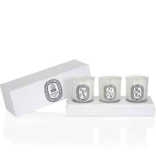 Diptyque Berries, Fig Tree, Roses 3 Candle Gift Set ~MISSING THE ROSES CANDLE