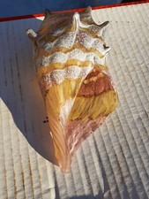 Conch Sea Shell Abstract Art Glass gold,  White Figurine New Handblown 7" New