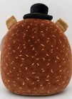 Rare 16” Hans Hedgehog Squishmallows Select Series 1 of 10,000 NWT — photo 3