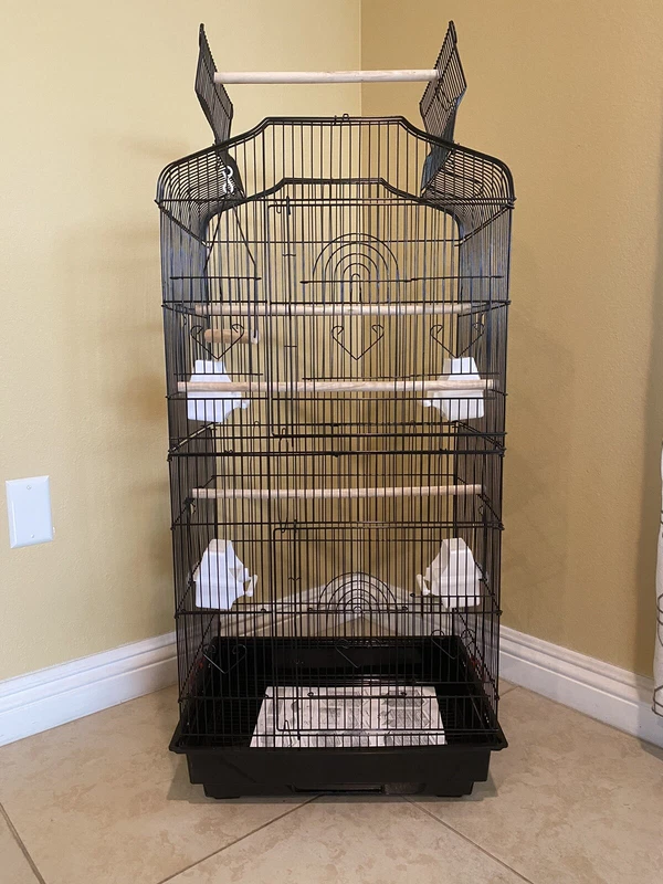 41 Inch Open Top Parakeet Bird Cage