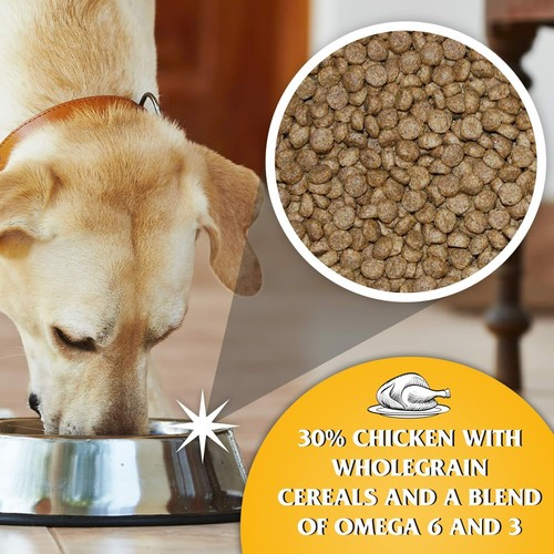 Dr. John Puppy Chicken Recipe Dry Dog Food with Omega-3s - 20kg (2 x 10kg) - Picture 3 of 6