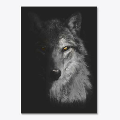 Gray Wolf Sticker