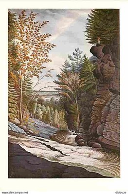 Postcard - Art - Painting - Thomas Davies - View of the river La Puce - CPM