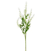 Kunstblume Phytolacca, 4Er Set, Farbe Weiß, HöHe Ca. 72 Cm