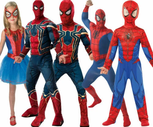 Spider-Man Blue Fancy Dress for Boys