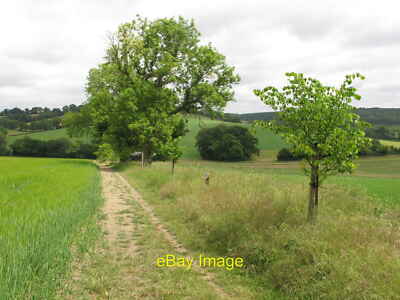 Foto 12x8 Jubiläum Lindenweg Weißteich Bauernhof Der Baum rechts und c2020