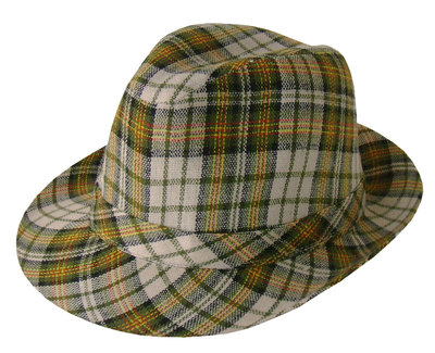 Women Men Stylish Plaid Solid Stripe Floral Pattern Trilby  display picture 1